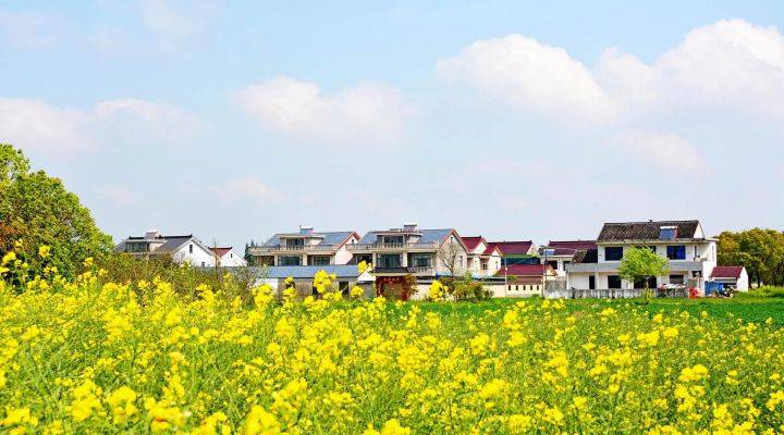 河南焦作市發文推進農村人居環境整治、農村污水治理、黑臭水體治理